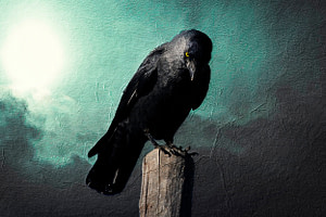 Raven 2